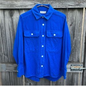 Everlane flannel boyfriend fit in blue